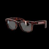 AI Smart Audio Glasses