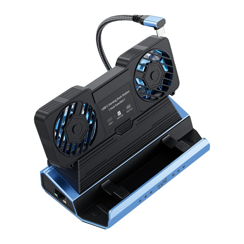 Type-C 10合1扩展坞（PD100W+USB3.0+USB2.0*3+SD/TF+RJ45+HD2.0+硬盘盒+可拆卸双风扇）
